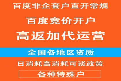 不同平台下的关键词竞价排名策略比较与案例分析